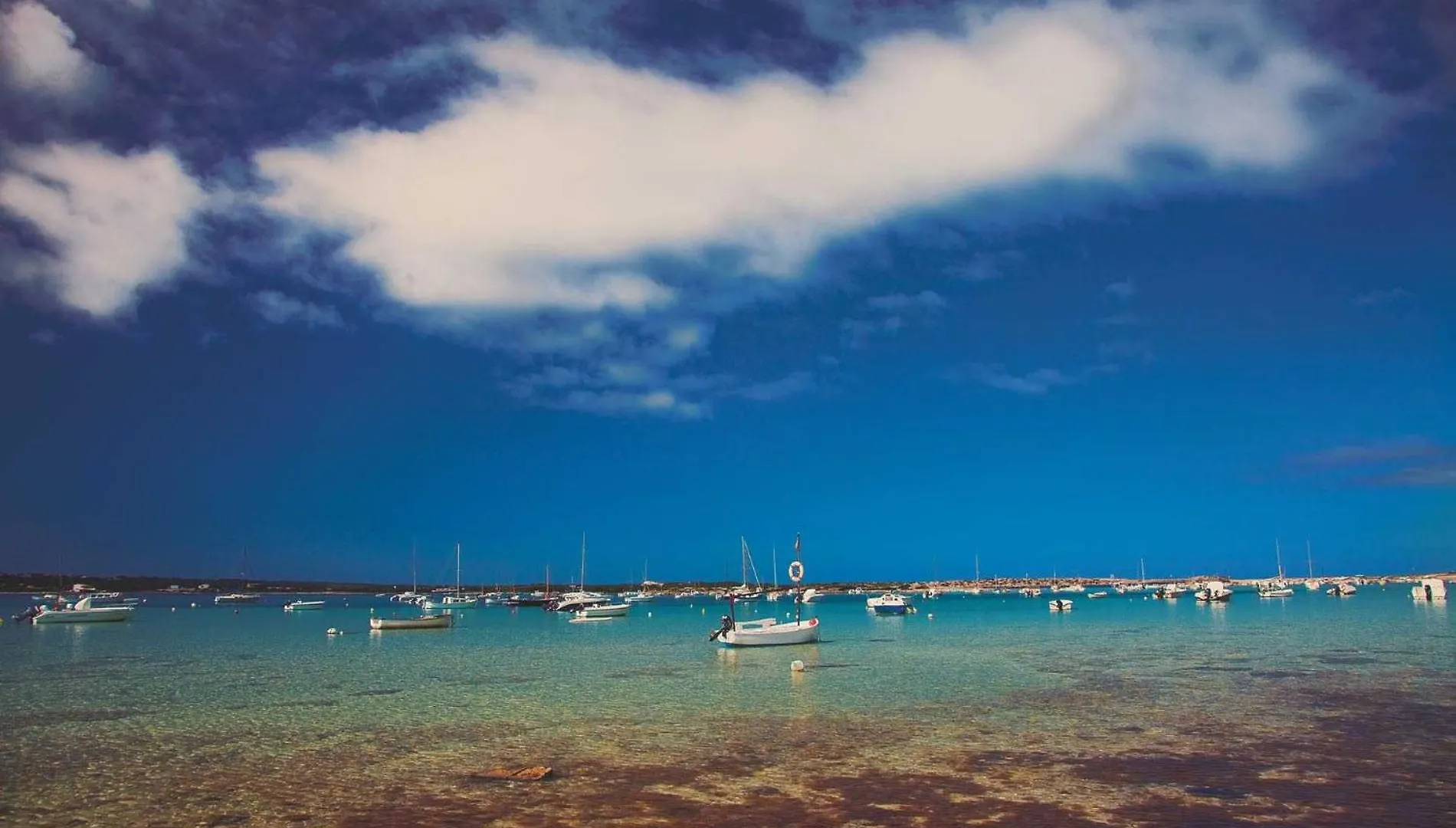 Sea View Formentera Rustick Apartment La Savina   La Savina (Formentera)